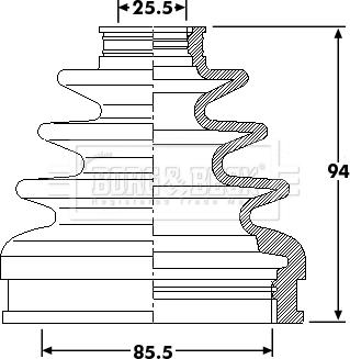 Borg & Beck BCB6219 - Cuffia, Semiasse autozon.pro