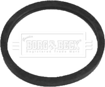 Borg & Beck BG022 - Termostato, Refrigerante autozon.pro