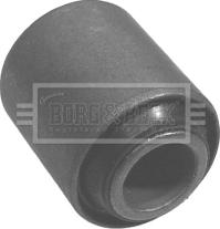 Borg & Beck BSK6146 - Supporto, Braccio oscillante autozon.pro