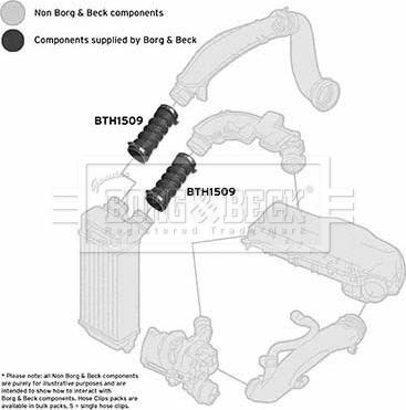 Borg & Beck BTH1509 - Flessibile aria alimentazione autozon.pro