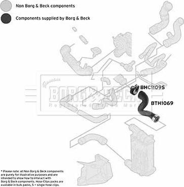 Borg & Beck BTH1069 - Flessibile aria alimentazione autozon.pro