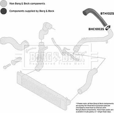 Borg & Beck BTH1025 - Flessibile aria alimentazione autozon.pro