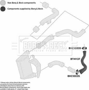 Borg & Beck BTH1137 - Flessibile aria alimentazione autozon.pro