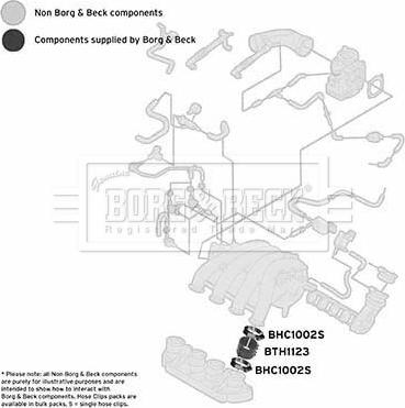 Borg & Beck BTH1123 - Flessibile aria alimentazione autozon.pro