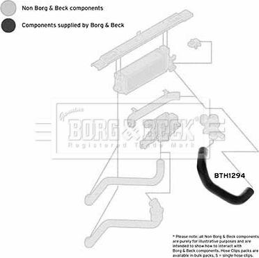 Borg & Beck BTH1294 - Flessibile aria alimentazione autozon.pro