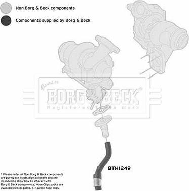 Borg & Beck BTH1249 - Flessibile aria alimentazione autozon.pro