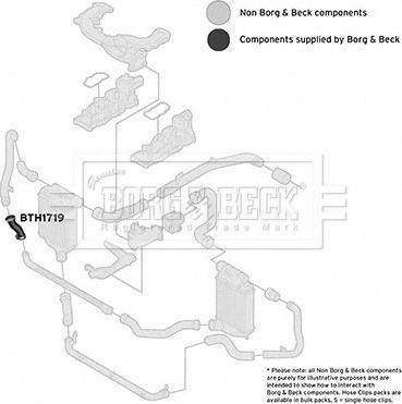 Borg & Beck BTH1719 - Flessibile aria alimentazione autozon.pro