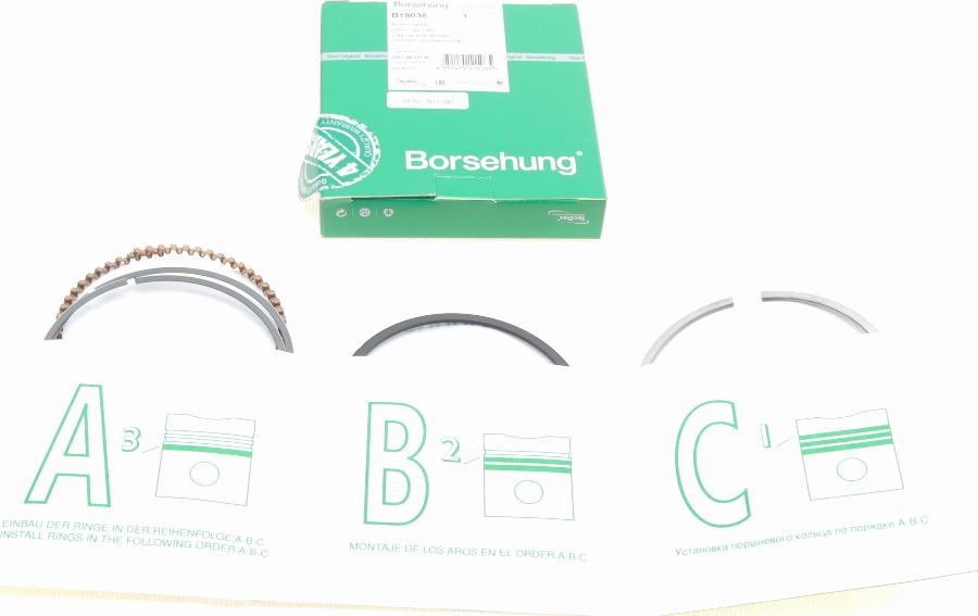 Borsehung B19036 - Kit fasce elastiche autozon.pro