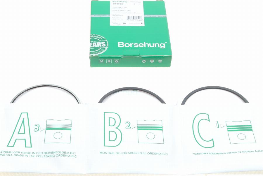 Borsehung B19038 - Kit fasce elastiche autozon.pro