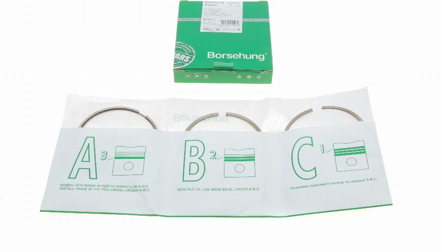 Borsehung B19037 - Kit fasce elastiche autozon.pro