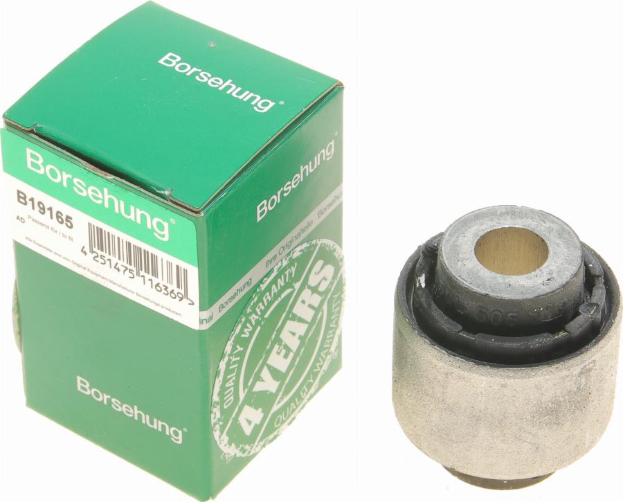 Borsehung B19165 - Supporto, Braccio oscillante autozon.pro