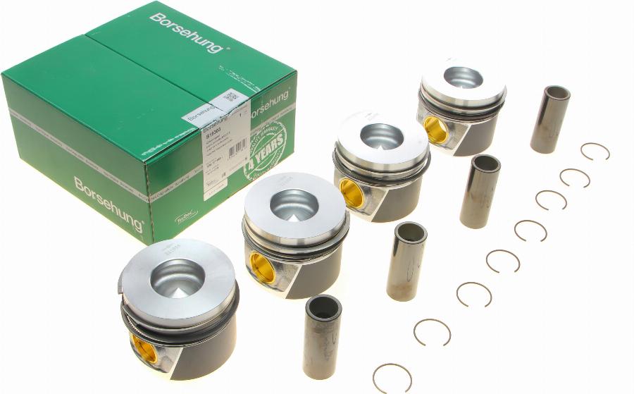 Borsehung B19303 - Kit fasce elastiche autozon.pro