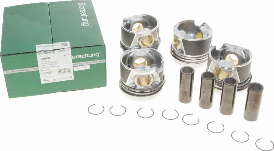 Borsehung B19302 - Kit fasce elastiche autozon.pro