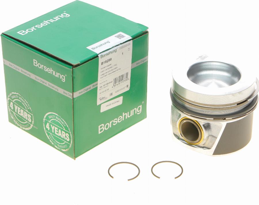 Borsehung B19299 - Kit fasce elastiche autozon.pro