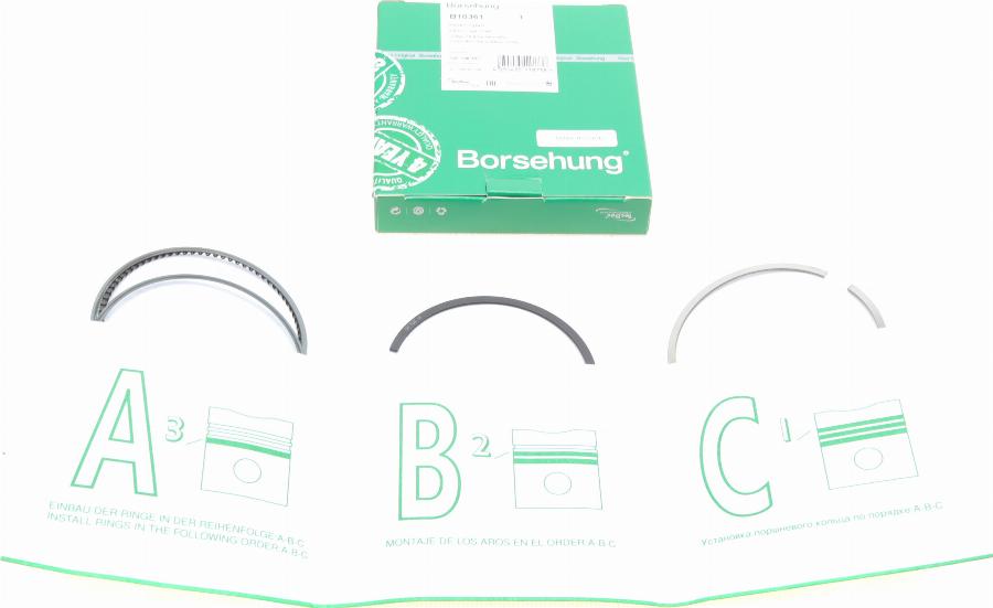 Borsehung B10361 - Kit fasce elastiche autozon.pro