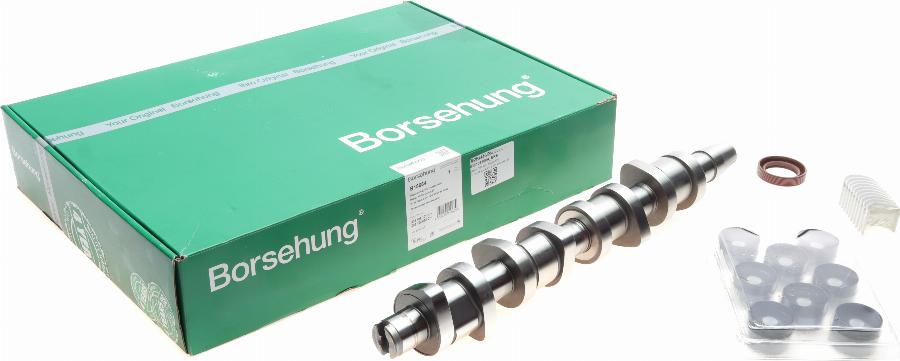 Borsehung B18664 - Kit albero a camme autozon.pro