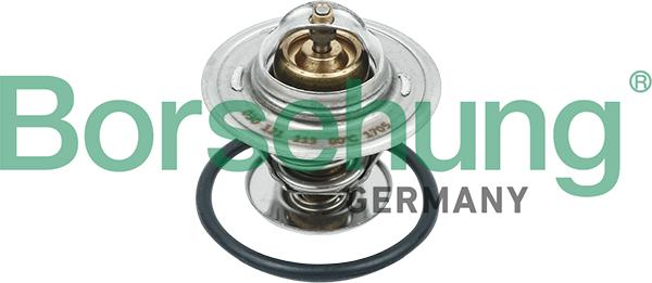 Borsehung B18234 - Termostato, Refrigerante autozon.pro