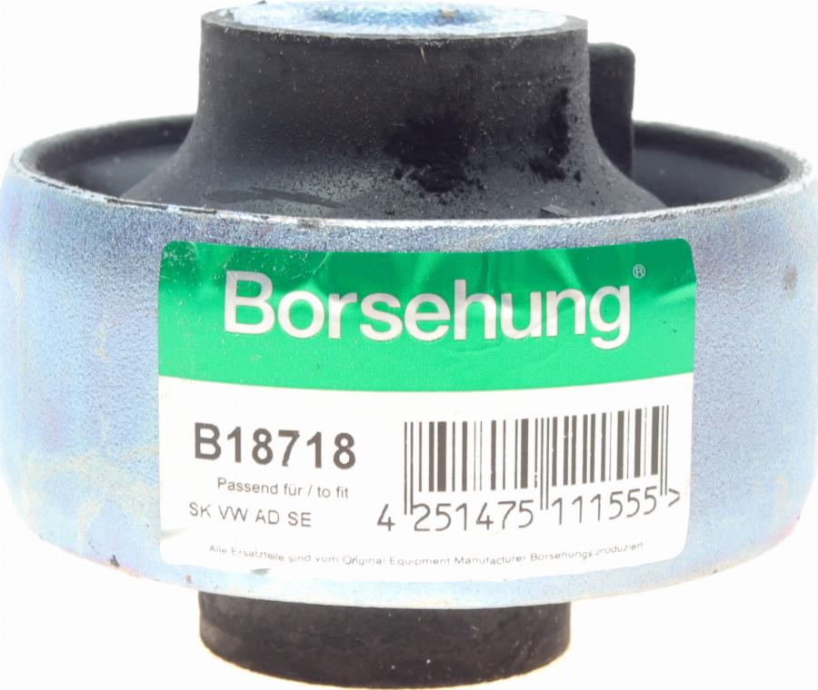 Borsehung B18718 - Supporto, Braccio oscillante autozon.pro