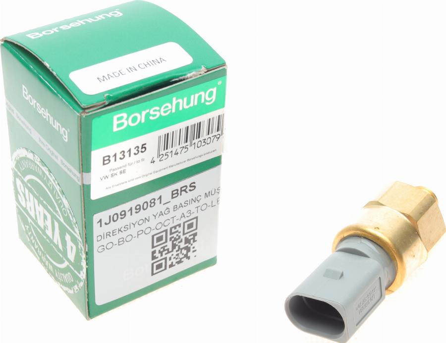 Borsehung B13135 - Sensore, Pressione olio autozon.pro