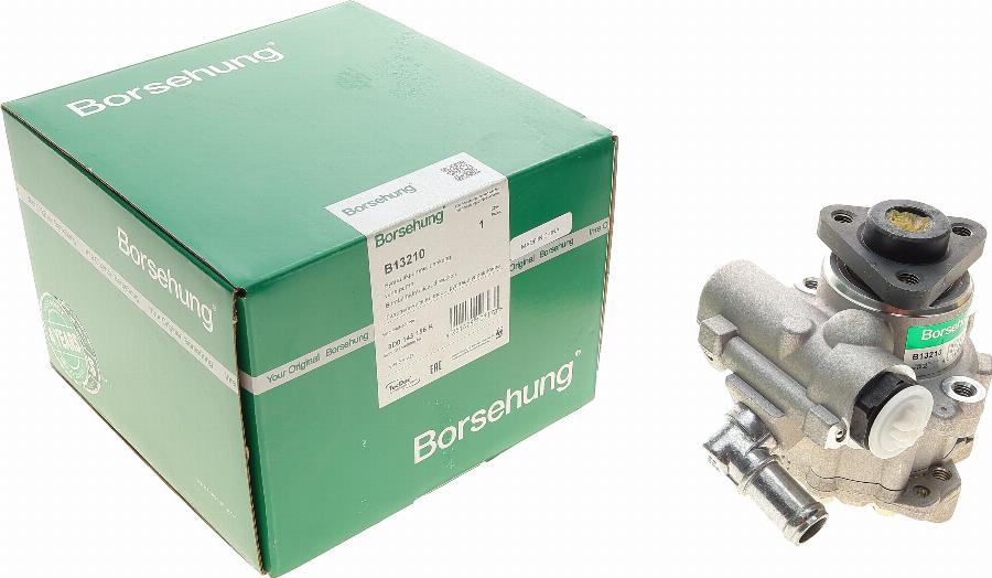 Borsehung B13210 - Pompa idraulica, Sterzo autozon.pro