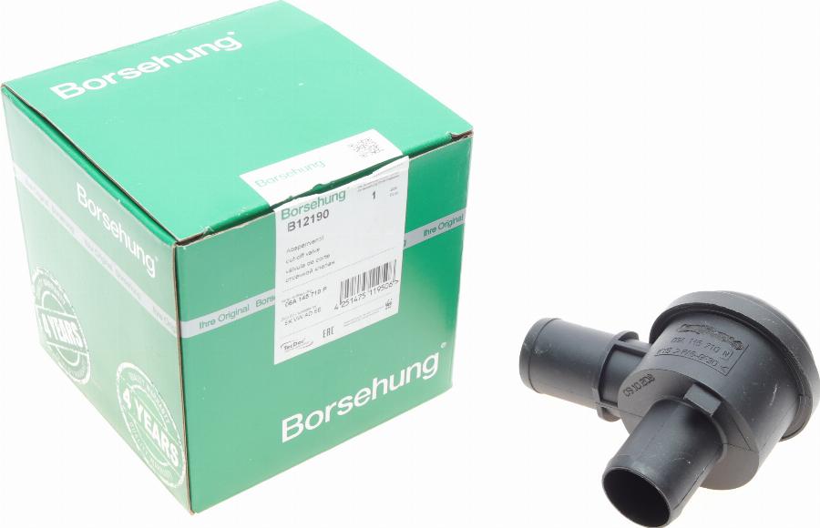 Borsehung B12190 - Valvola wastegate autozon.pro