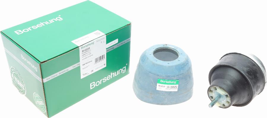 Borsehung B12233 - Sospensione, Motore autozon.pro