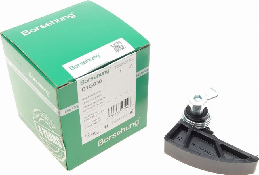 Borsehung B1G030 - Tendicatena, Azionamento pompa olio autozon.pro