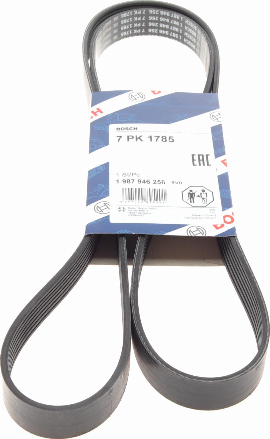 BOSCH 1 987 946 256 - Cinghia Poly-V autozon.pro