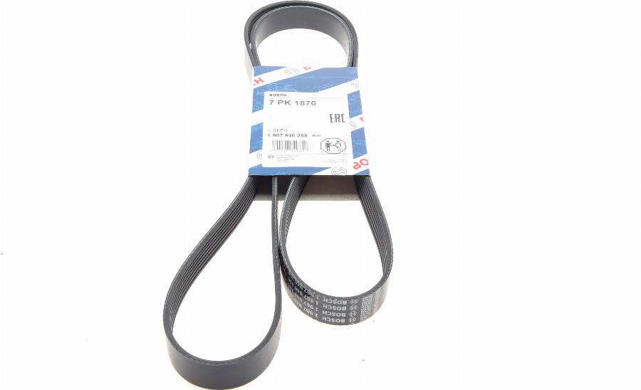 BOSCH 1 987 946 258 - Cinghia Poly-V autozon.pro