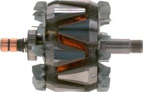 BOSCH F 00M 131 618 - Rotore, Alternatore autozon.pro