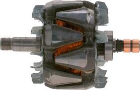 BOSCH F 00M 131 634 - Rotore, Alternatore autozon.pro