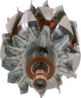 BOSCH F 00M 121 611 - Rotore, Alternatore autozon.pro