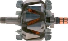 BOSCH F 00M 121 636 - Rotore, Alternatore autozon.pro