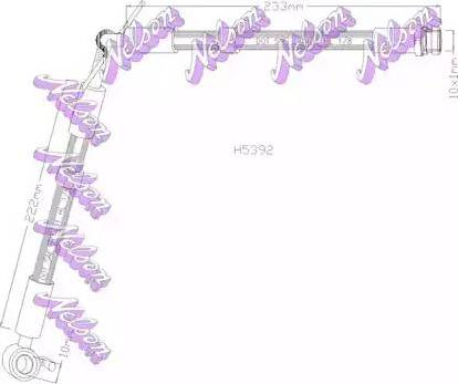 Brovex-Nelson H5392 - Flessibile del freno autozon.pro