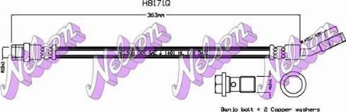 Brovex-Nelson H8171Q - Flessibile del freno autozon.pro