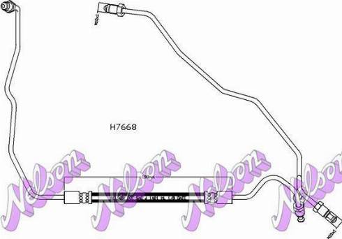 Brovex-Nelson H7668 - Flessibile del freno autozon.pro