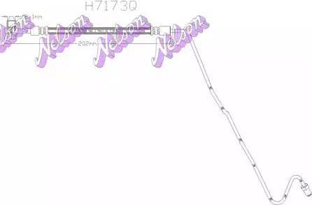 Brovex-Nelson H7173Q - Flessibile del freno autozon.pro