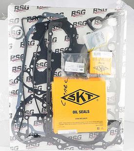 BSG BSG 30-115-002 - Kit completo guarnizioni, Motore autozon.pro