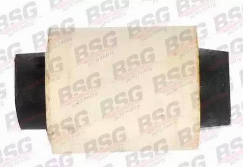 BSG BSG 30-700-302 - Supporto, Braccio oscillante autozon.pro