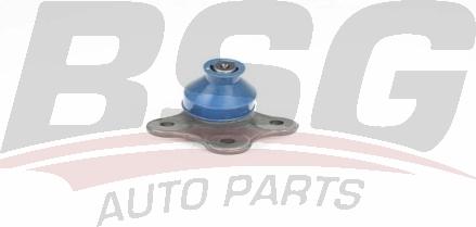 BSG BSG 25-310-024 - Giunto di supporto / guida autozon.pro