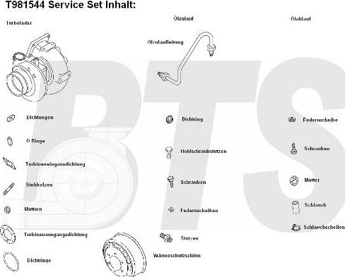 BTS Turbo T981544 - Turbocompressore, Sovralimentazione autozon.pro