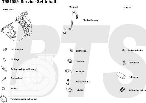 BTS Turbo T981559 - Turbocompressore, Sovralimentazione autozon.pro