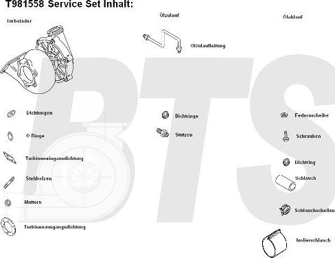 BTS Turbo T981558 - Turbocompressore, Sovralimentazione autozon.pro