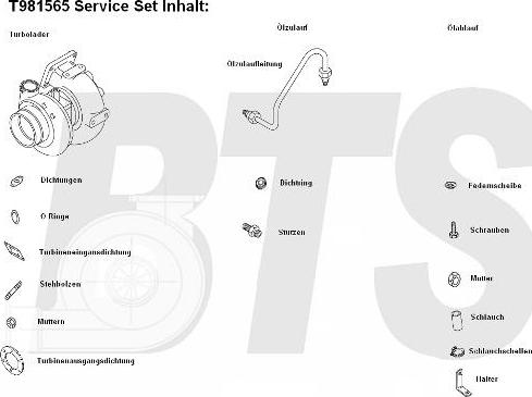 BTS Turbo T981565 - Turbocompressore, Sovralimentazione autozon.pro