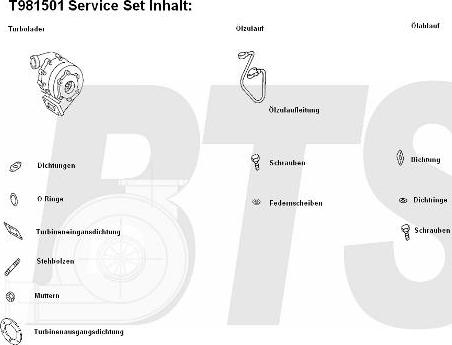 BTS Turbo T981501 - Turbocompressore, Sovralimentazione autozon.pro