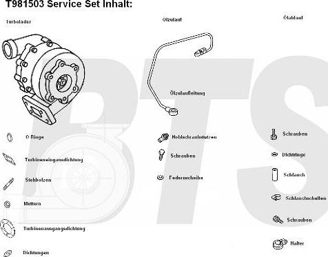 BTS Turbo T981503 - Turbocompressore, Sovralimentazione autozon.pro