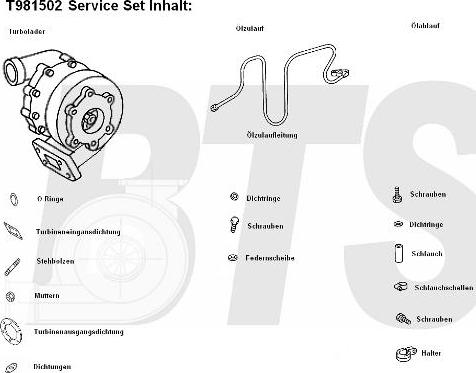 BTS Turbo T981502 - Turbocompressore, Sovralimentazione autozon.pro