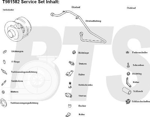 BTS Turbo T981582 - Turbocompressore, Sovralimentazione autozon.pro