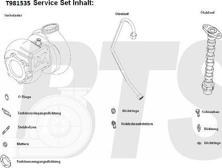 BTS Turbo T981535BL - Turbocompressore, Sovralimentazione autozon.pro