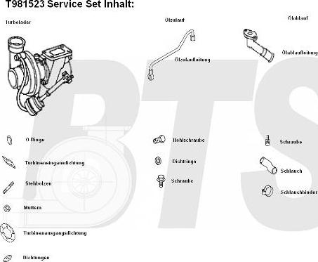 BTS Turbo T981523 - Turbocompressore, Sovralimentazione autozon.pro